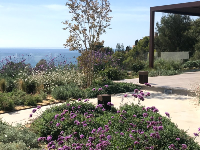 Casilla del Mar Jardin