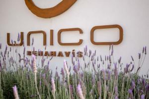 Unico Sales House Garden 3